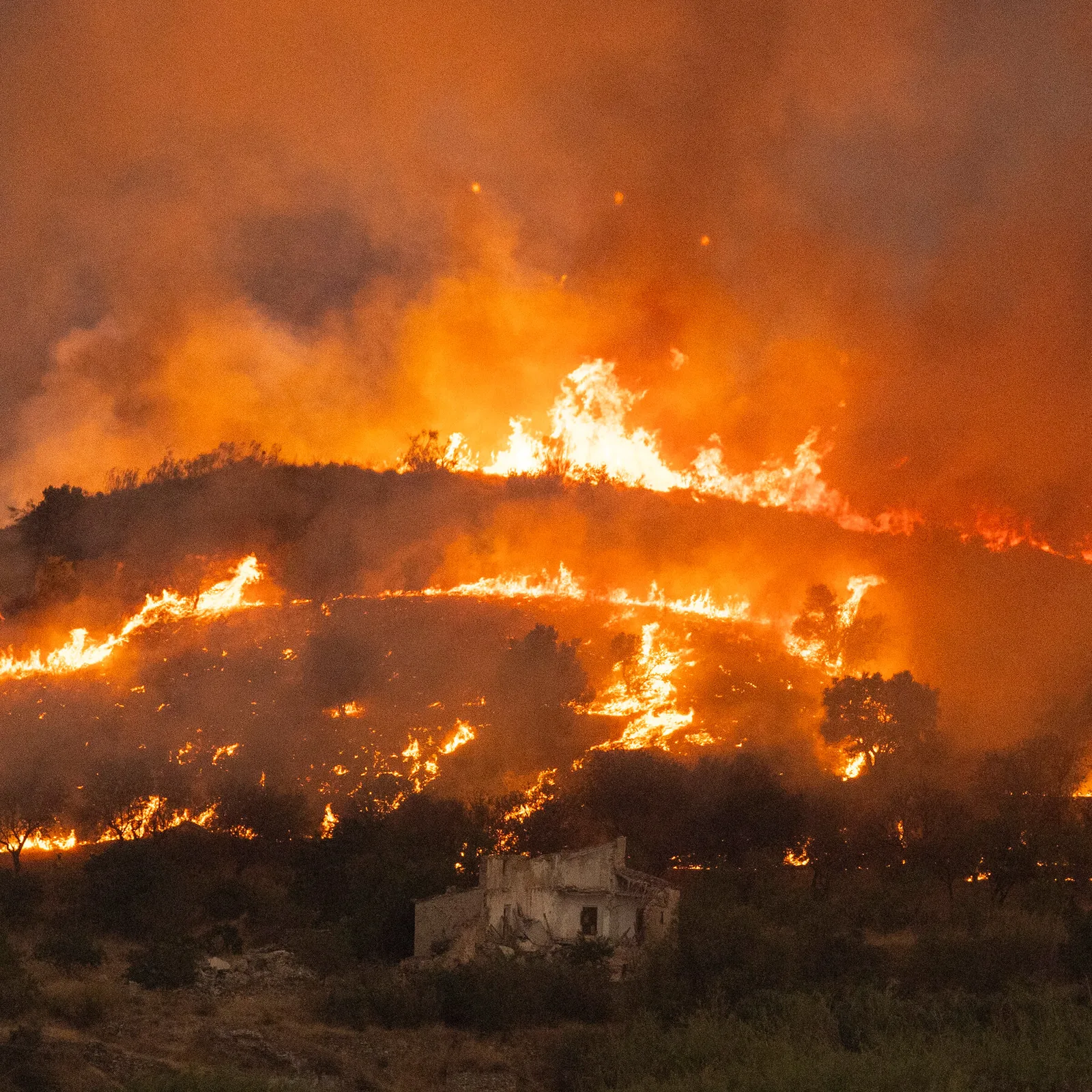 Heat Dome Triggers Alerts and Wildfire Evacuations in Western U.S.
