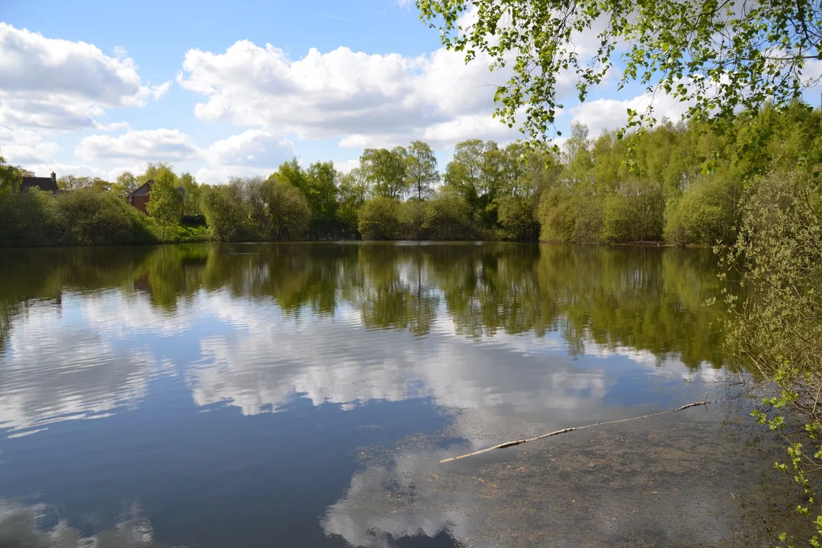 15-Year-Old Boy Dies After Entering Lake in Lincoln, Tributes Paid