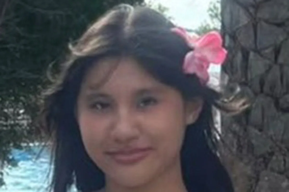 16-Year-Old Girl Named as Victim in Fatal London Taxi Collision