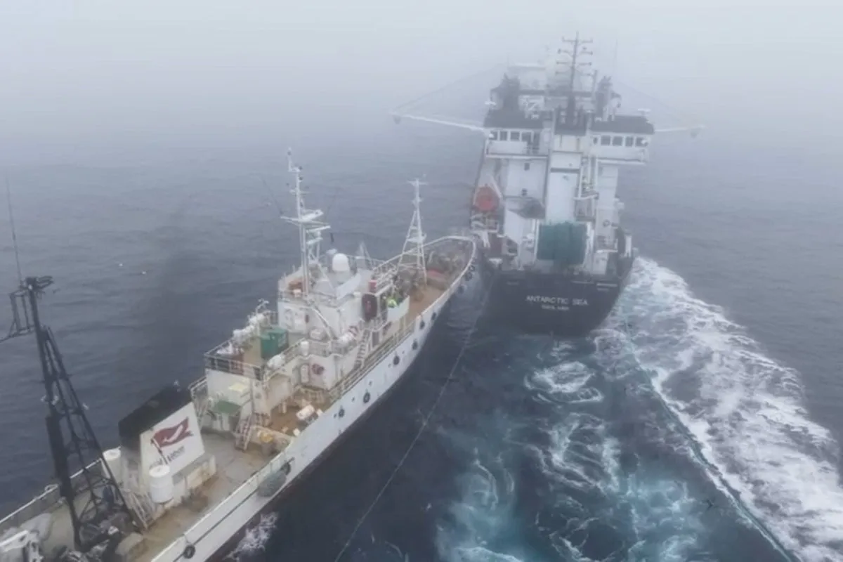 Activist Vessel Collides with Norwegian Krill Trawler in Antarctic Waters