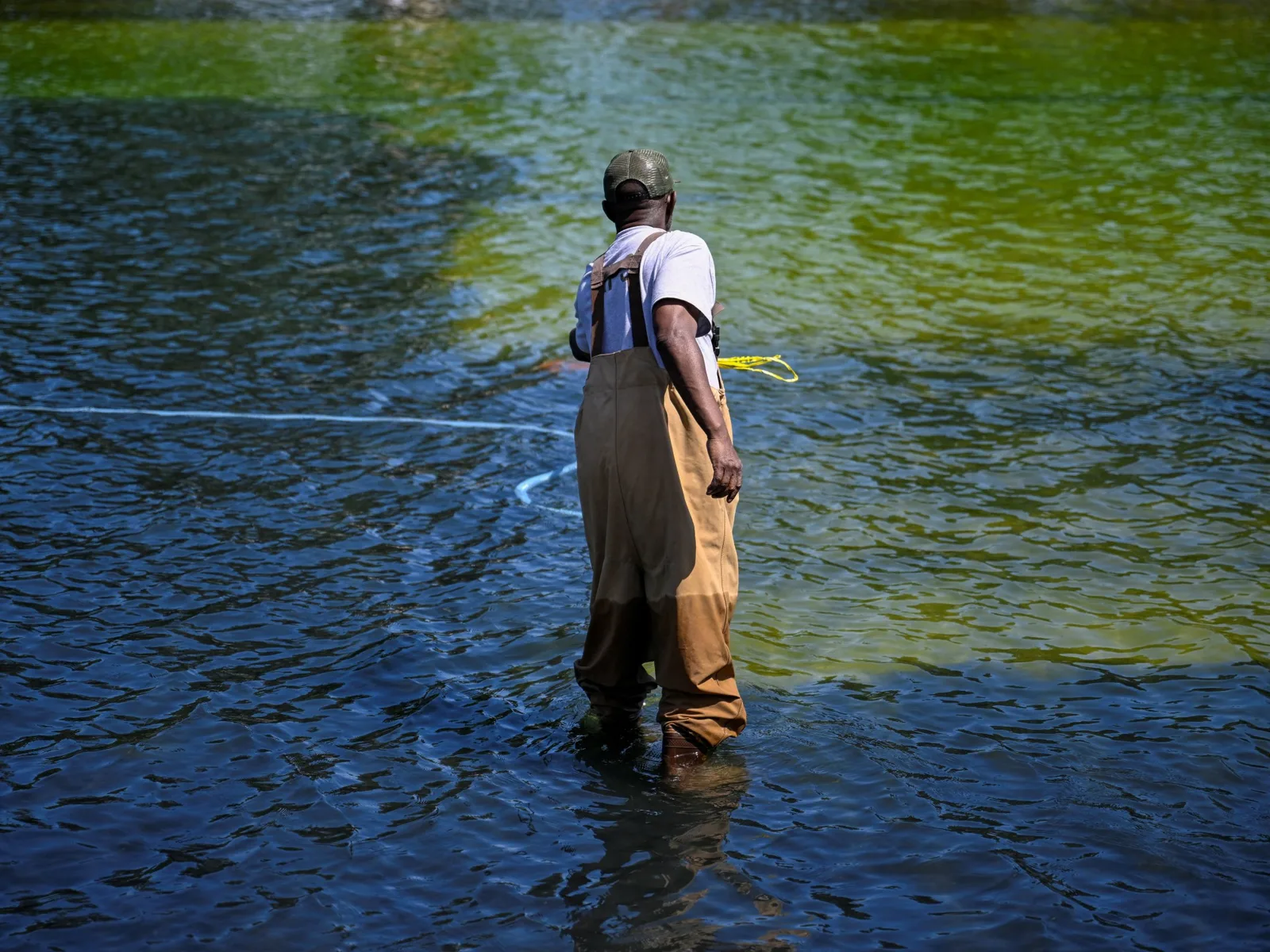 Algae Bloom and Alleged Tampering Affect Washington's Reflecting Pool Renovation