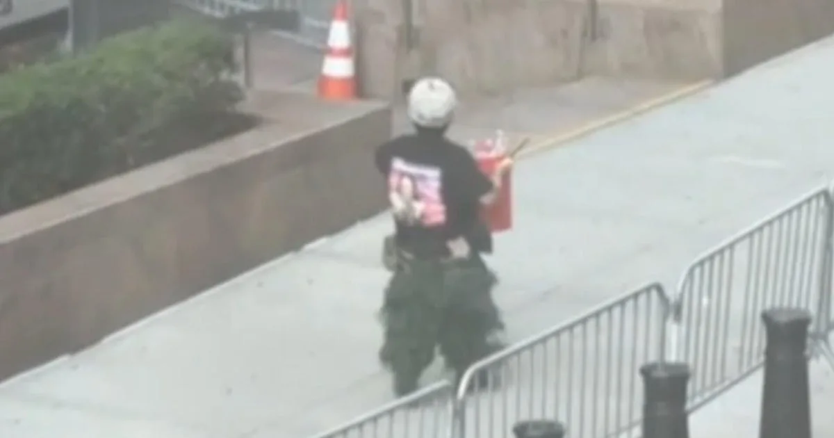 Army Veteran Accused of Setting Fire and Pellet Gun Attack Outside NYC Federal Building