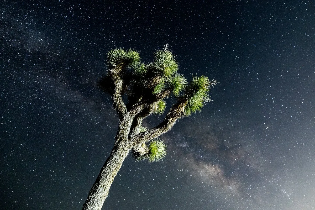 Astronomers Detect Natural Sugar Molecule in Interstellar Cloud Near Milky Way Center