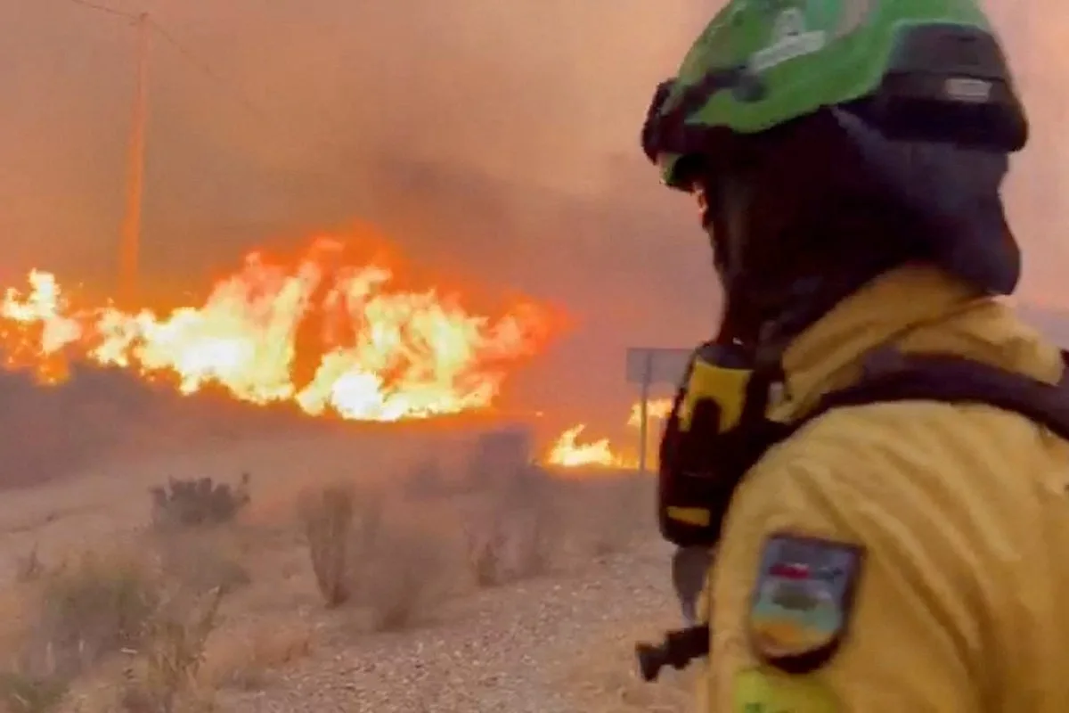 At Least 12 Dead, Dozens Missing in Southern Spain Wildfire Near Almería
