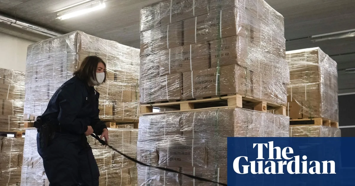 Belgian Judge Warns of Increased Drug Crime and 'Narco-State' Risks