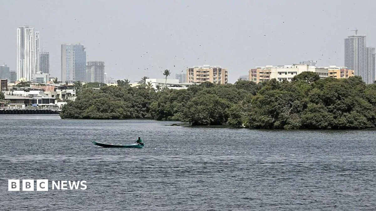 Boeing 737 Cargo Plane Disappears Off Pakistan Coast, Search Operation Underway
