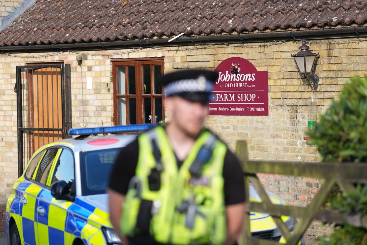 Boy Critically Injured After Entering Crocodile Enclosure at Zoo