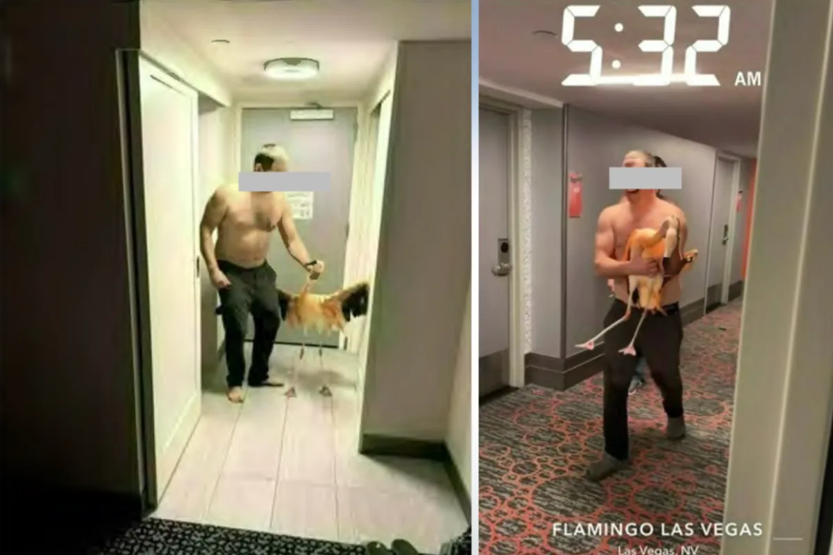 Canadian Tourist Accused of Stealing Flamingo From Las Vegas Hotel Ordered to Stay in City