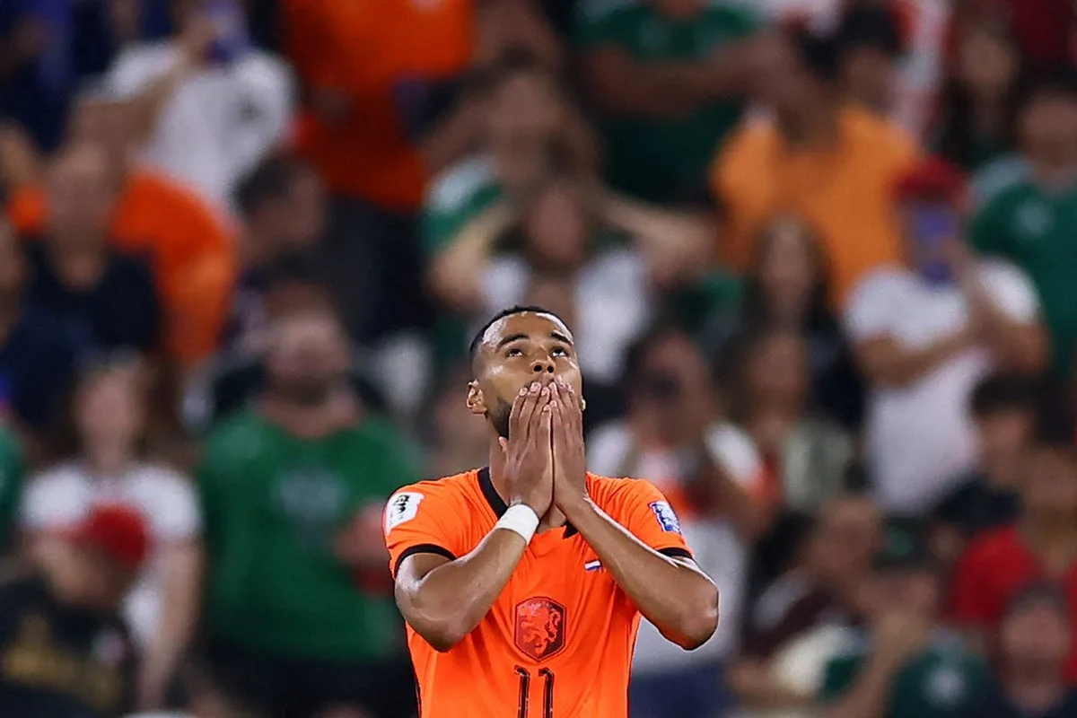 Cody Gakpo Scores for Netherlands Days After Personal Tragedy at World Cup