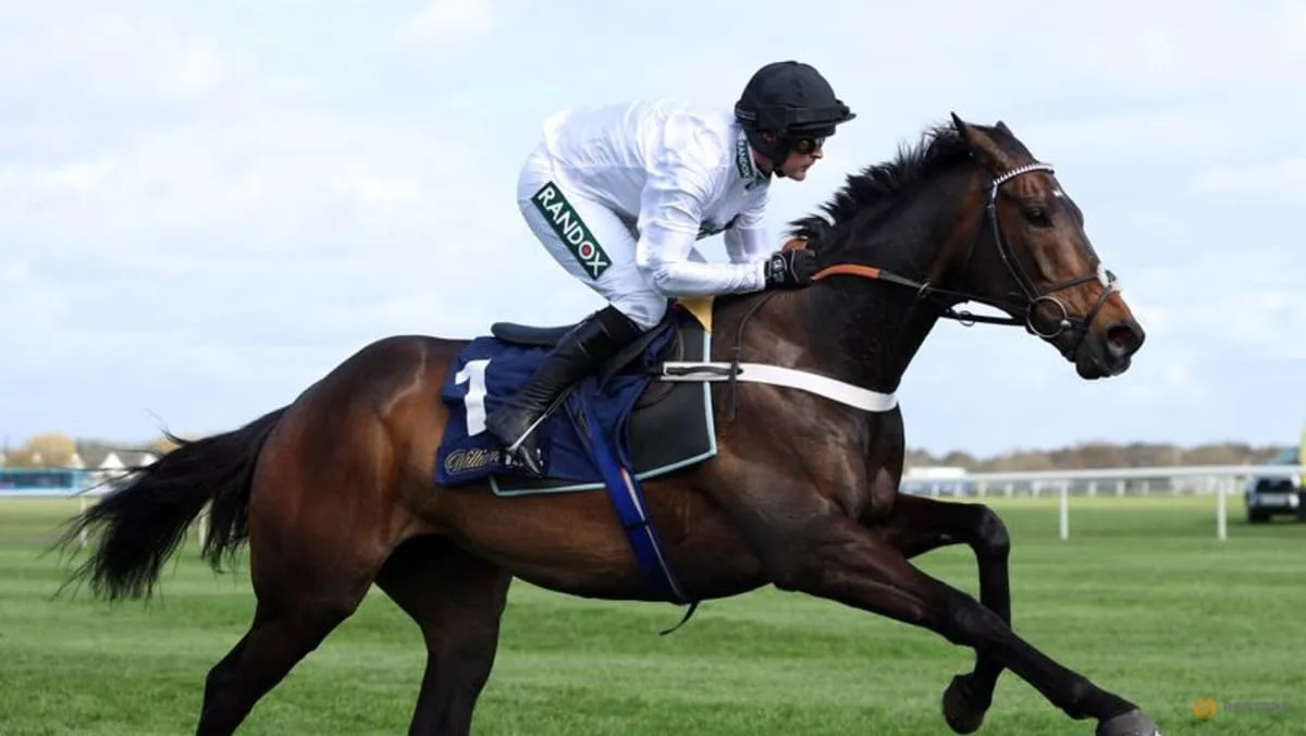 Constitution Hill Withdrawn from Champion Hurdle at Cheltenham Festival