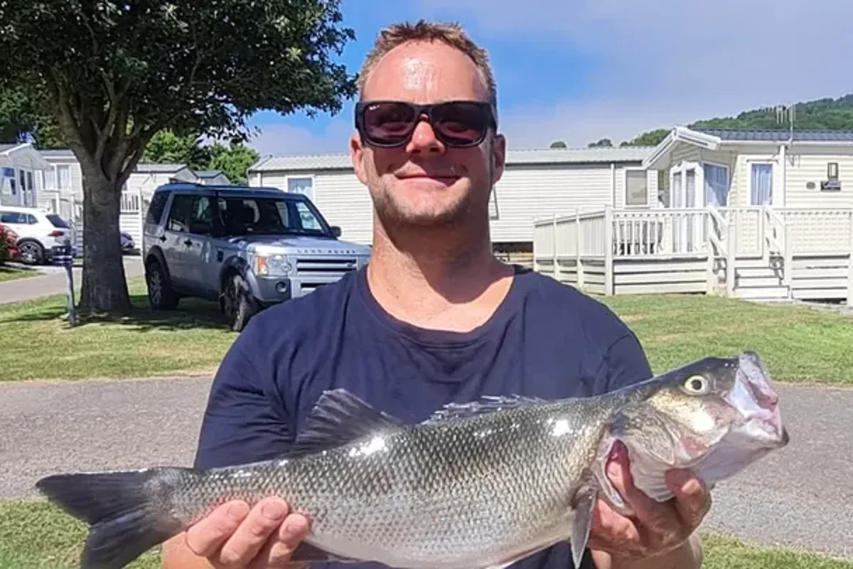 Coroner raises safety concerns after Oasis fan's fatal fall at Wembley Stadium