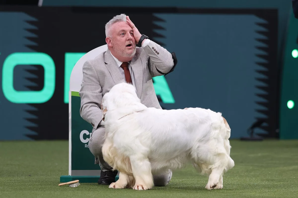 Crufts Winner Faces Calls for Title Removal After Animal Cruelty Conviction