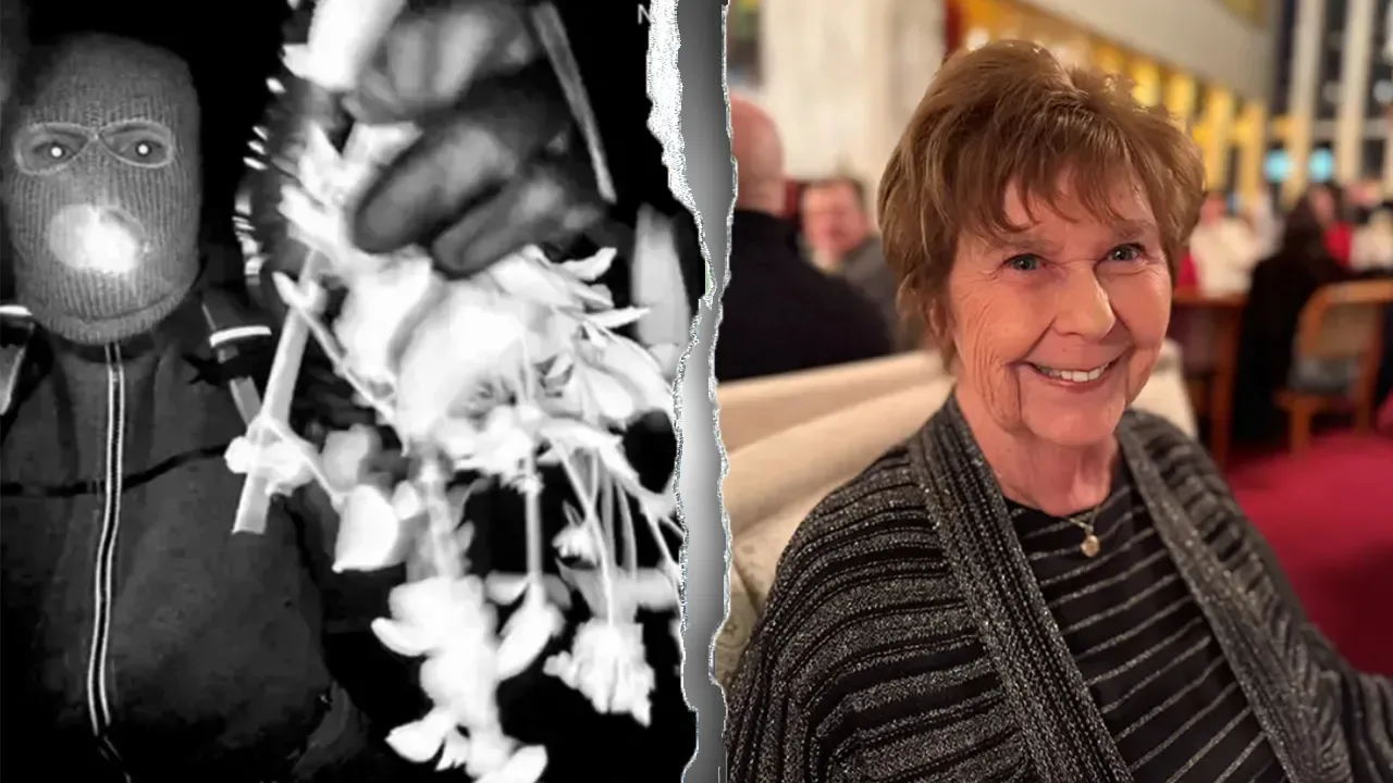 DNA Testing on Hair Sample Yields No Profile in Nancy Guthrie Disappearance Case