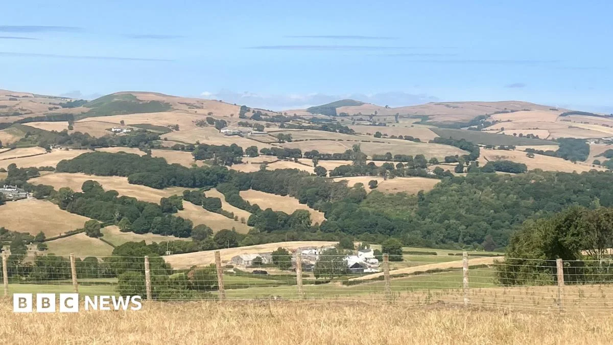Drought Declared in Parts of Wales After Heatwaves and Wildfires