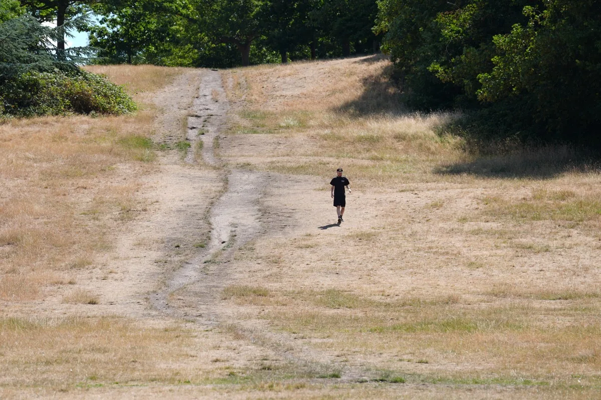 Dry Weather and Heatwaves Lead to Food Shortage Warnings and Drought Risk in UK