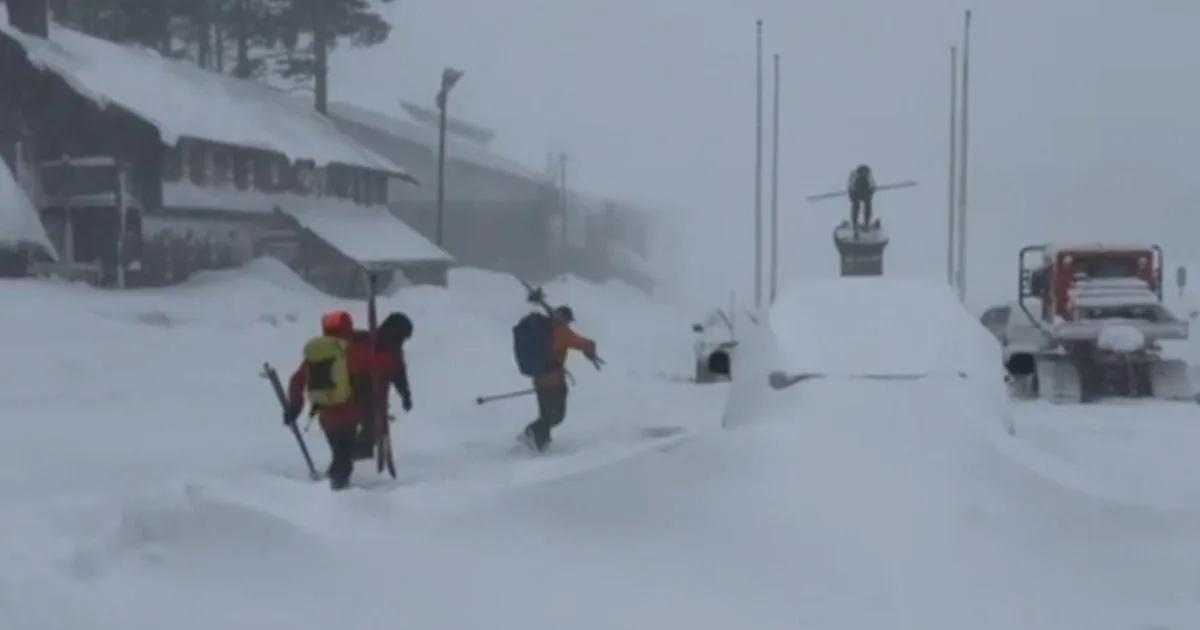 Nine Skiers Dead After Avalanche Near Lake Tahoe Amid Warning Questions