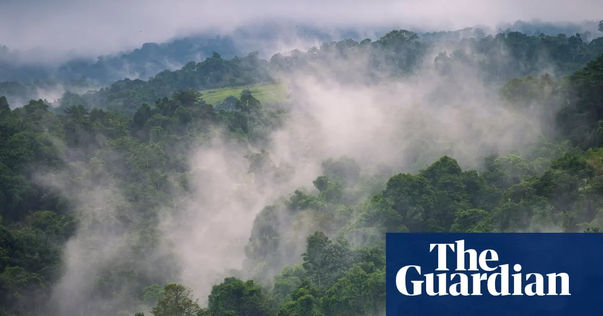 El Niño Causes Drought and Food Shortages in Papua New Guinea