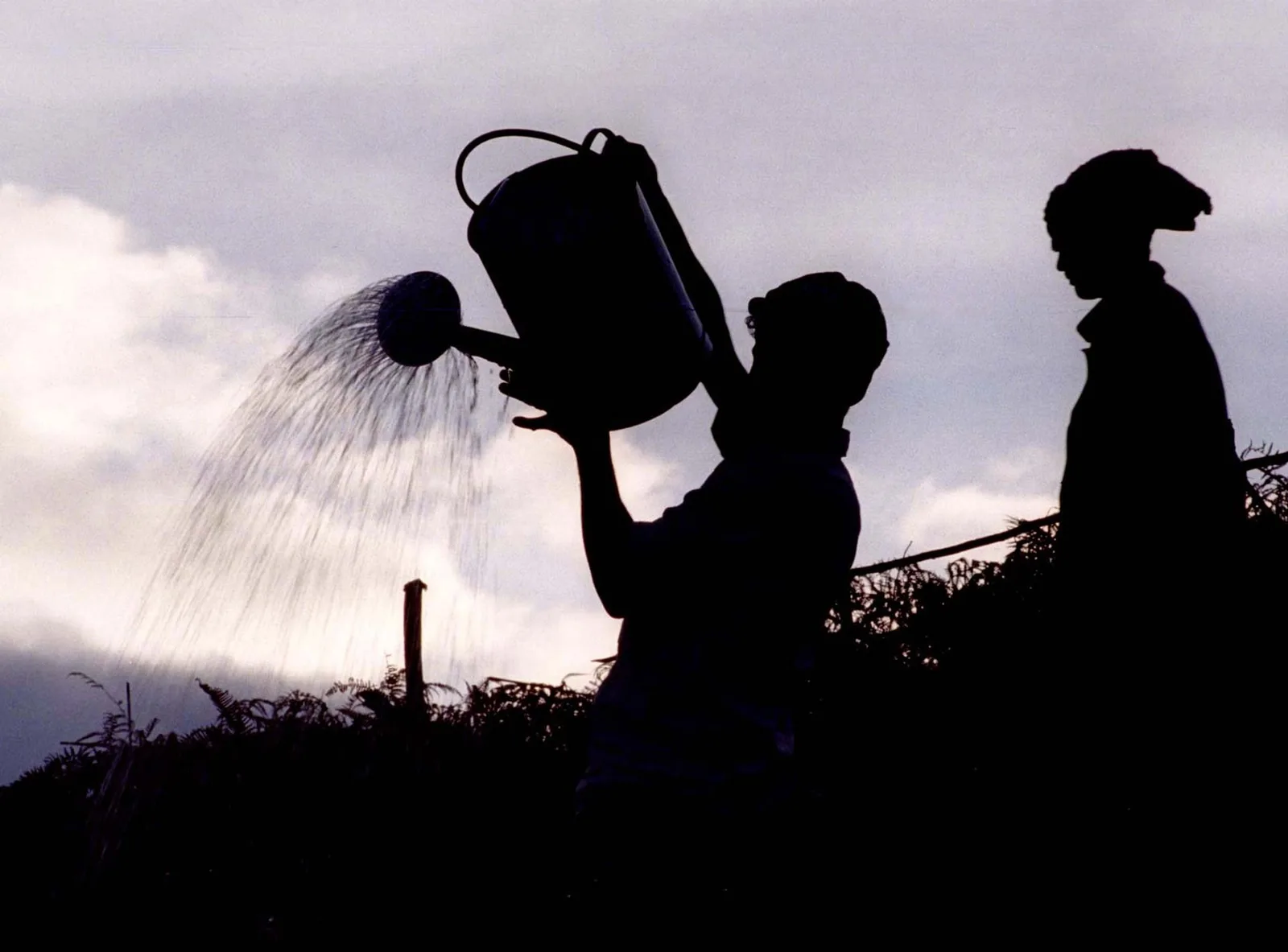El Niño Drives Global Weather Extremes and Prompts Government Responses