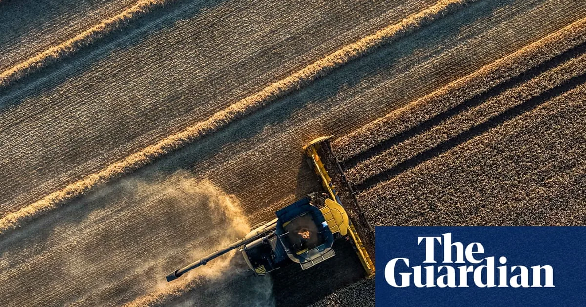 European Grain Harvest Suffers Major Decline Amid Heatwave and Geopolitical Tensions