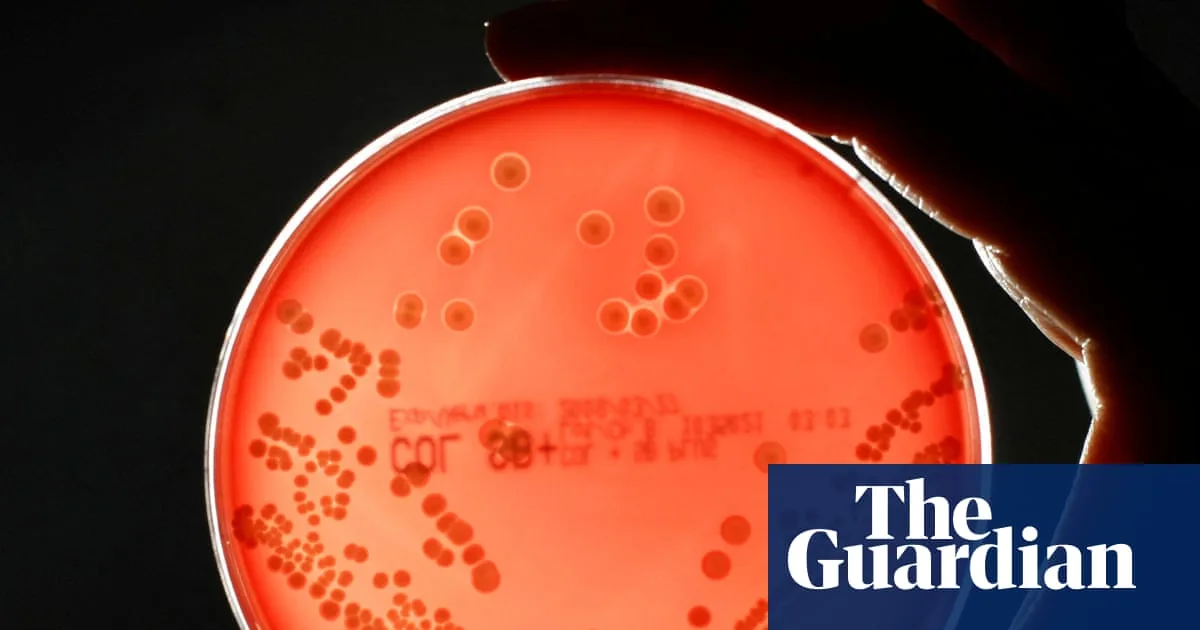Experts Warn Drug Pipeline for Superbugs Has Shrunk by 35% in Five Years