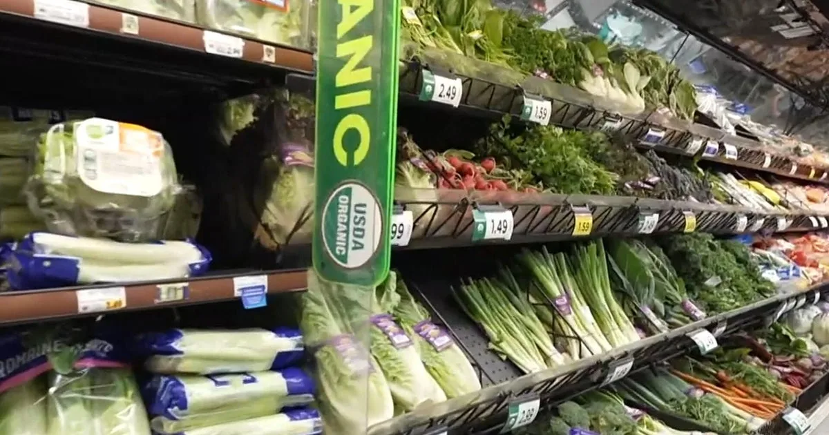 FDA Identifies Likely Source of Cyclospora-Contaminated Lettuce Amid Outbreak