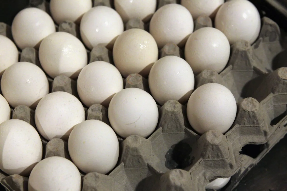 FDA Issues Highest-Risk Warning for Egg Recall Amid Salmonella Outbreak