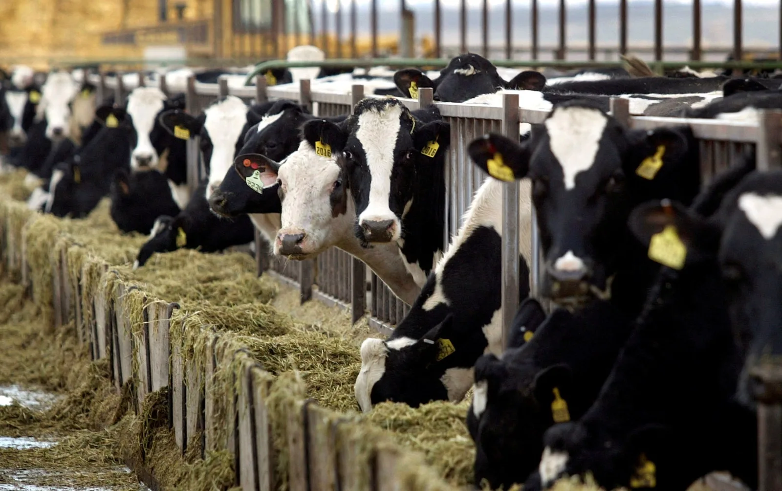 FDA Proposes Rule Requiring Notification of New Food Ingredients by Companies