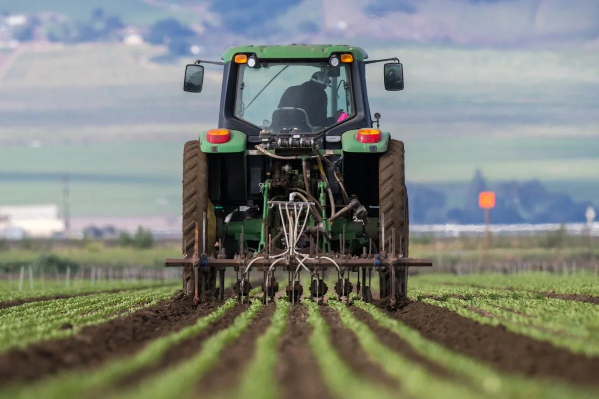 Fertilizer Companies Report Sales Surge Amid Supply Disruptions Linked to Iran War