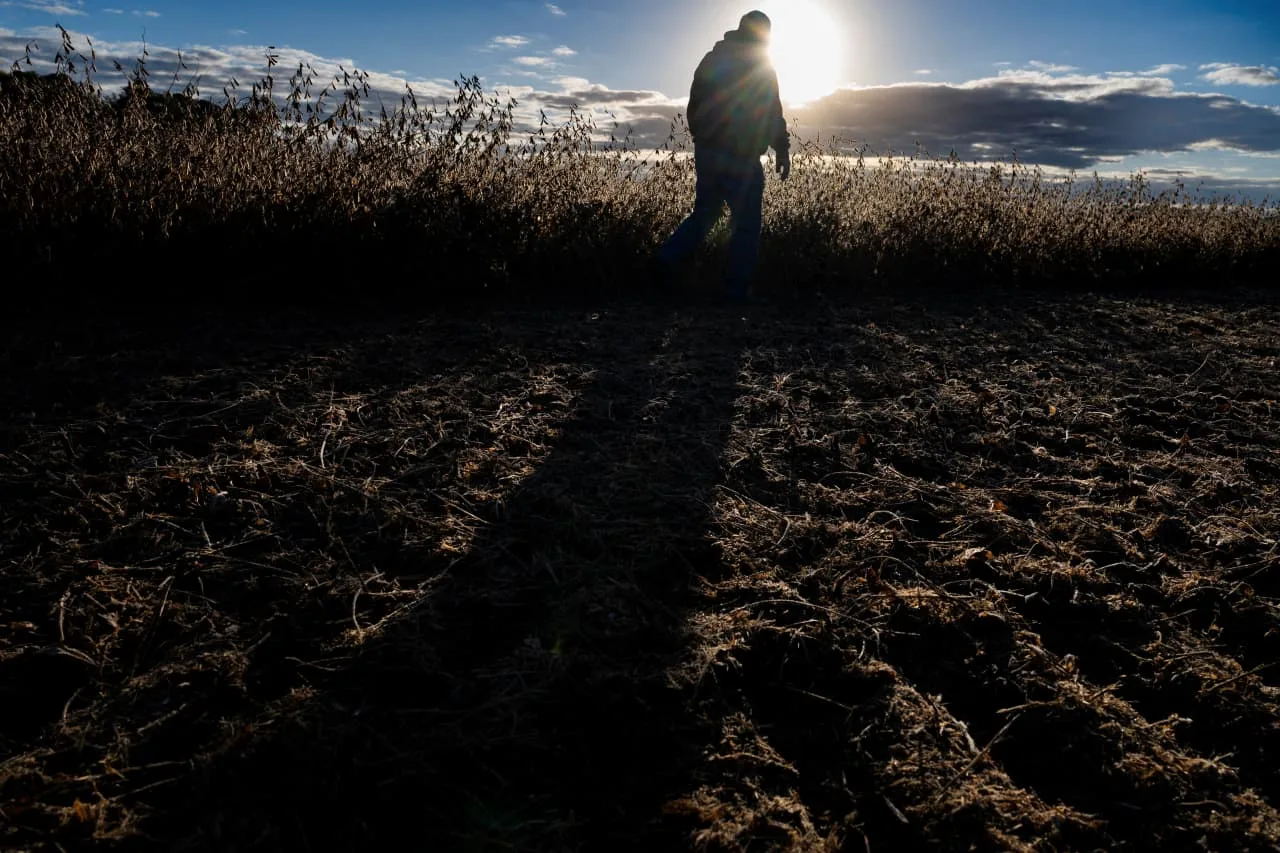 Fertilizer Costs and Food Price Inflation Drive Concerns Over Grocery Bills