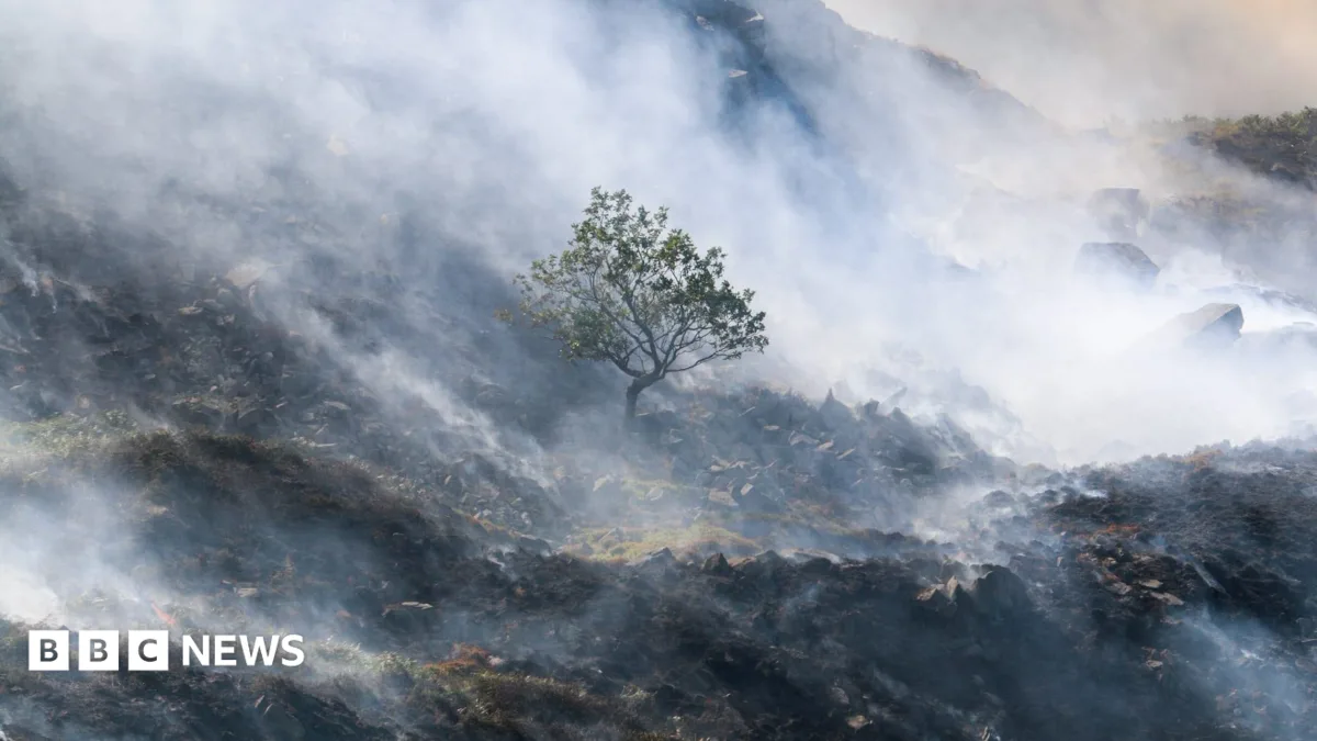 Firefighters Battle Dozens of Wildfires Amid Critical Weather in Oregon and Northwest