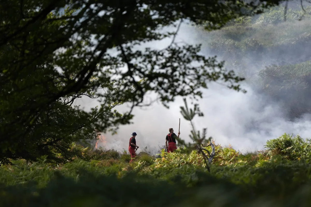 Firefighters Battle Large Blaze on New Forest Protected Heathland