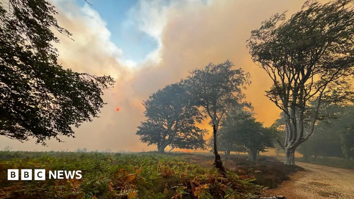 Firefighters Respond to Major Heathland Blaze in New Forest National Park