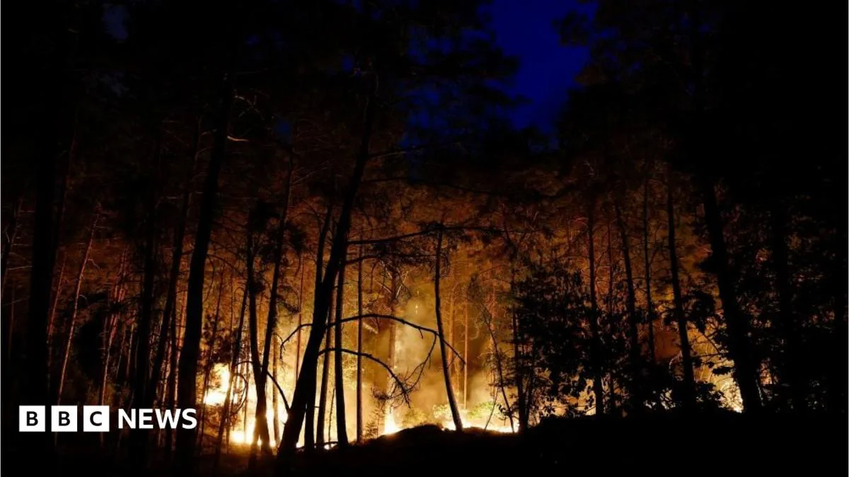 Firefighting Planes Deployed to Combat Large Wildfire Near Paris