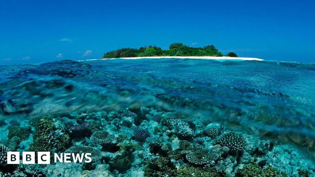 Five Tourists Die in Maldives Cave Diving Accident, Search for Bodies Continues
