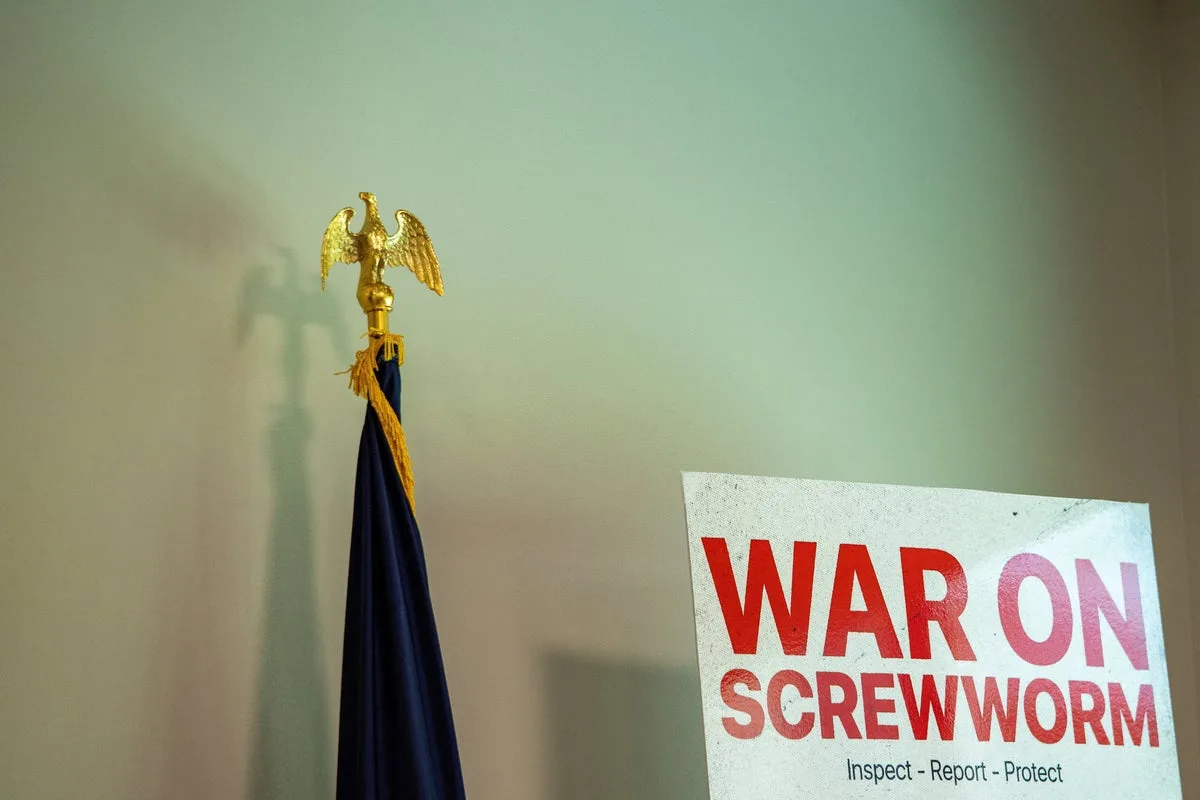 Flesh-Eating Screwworm Fly Re-Emerges in US, Prompts Veterinary Warnings