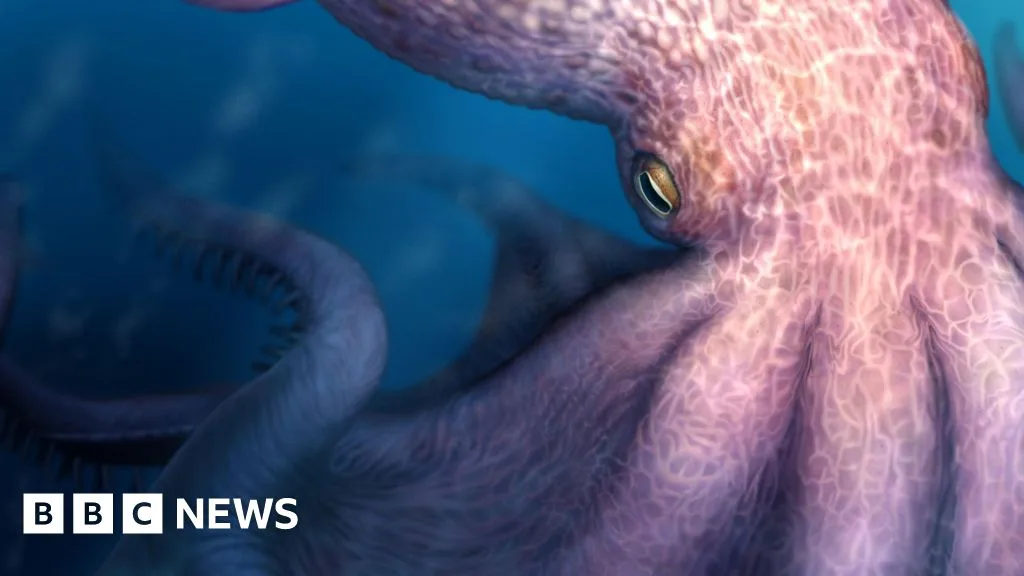 Fossil Evidence Suggests 19-Metre Octopus Lived 100 Million Years Ago