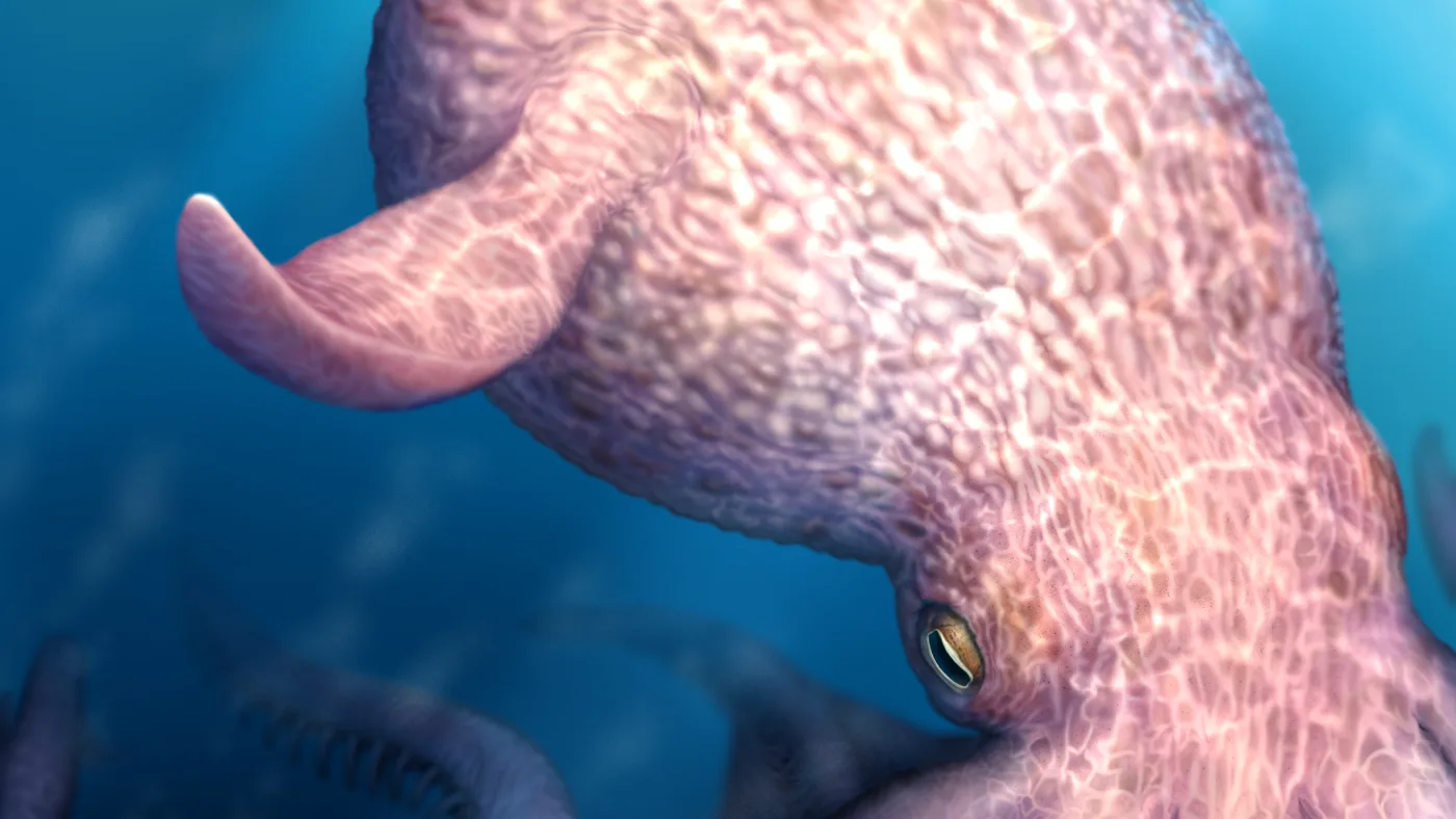 Fossils Suggest 19-Meter Kraken-Like Predator Lived in Cretaceous Seas