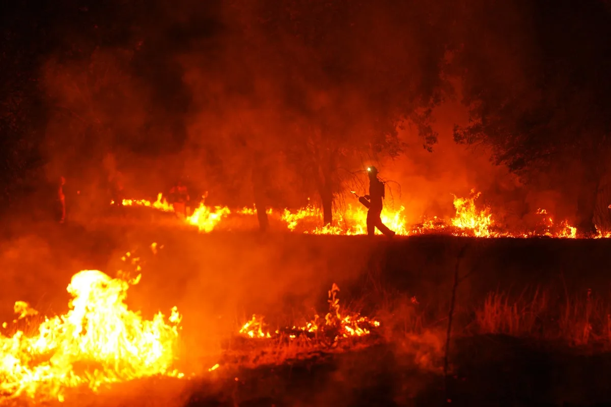 France and Spain Evacuate Thousands as Wildfires Intensify Amid Heatwave