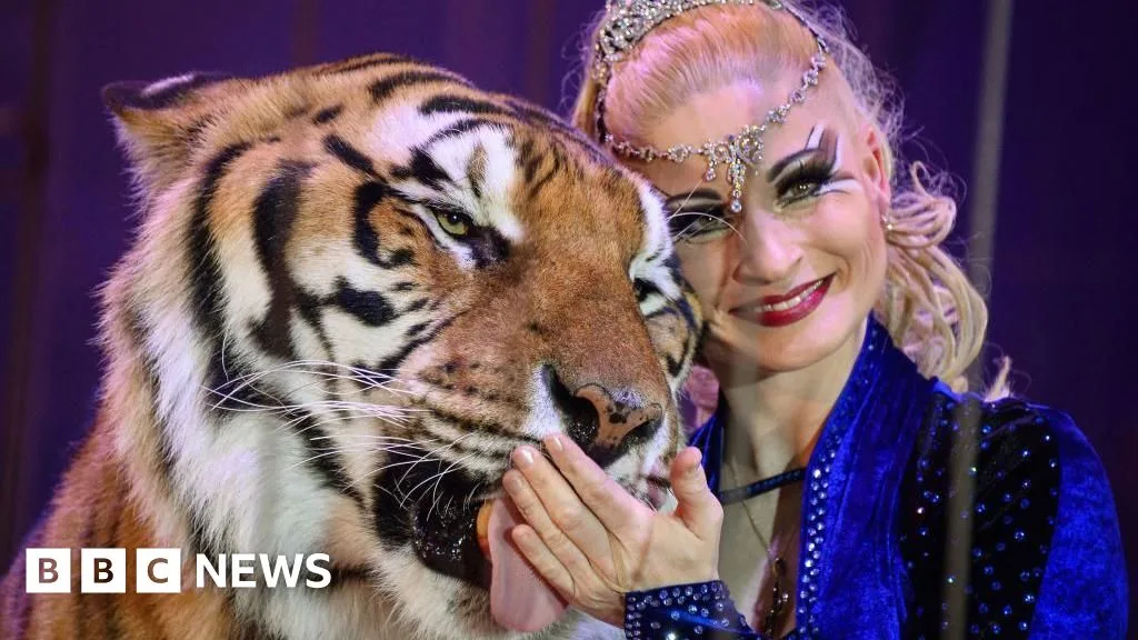 German Police Shoot Escaped Tiger Linked to Trainer Carmen Zander