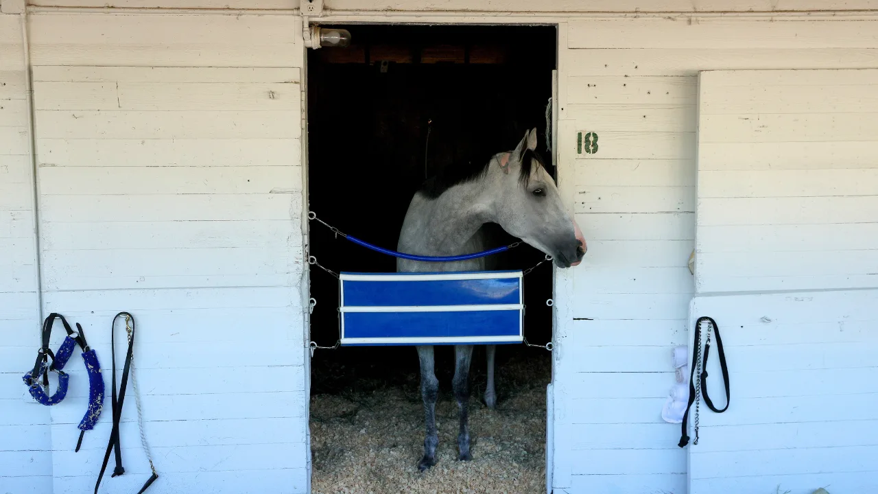 Golden Tempo Wins 152nd Kentucky Derby; DeVaux Becomes First Woman Trainer to Win
