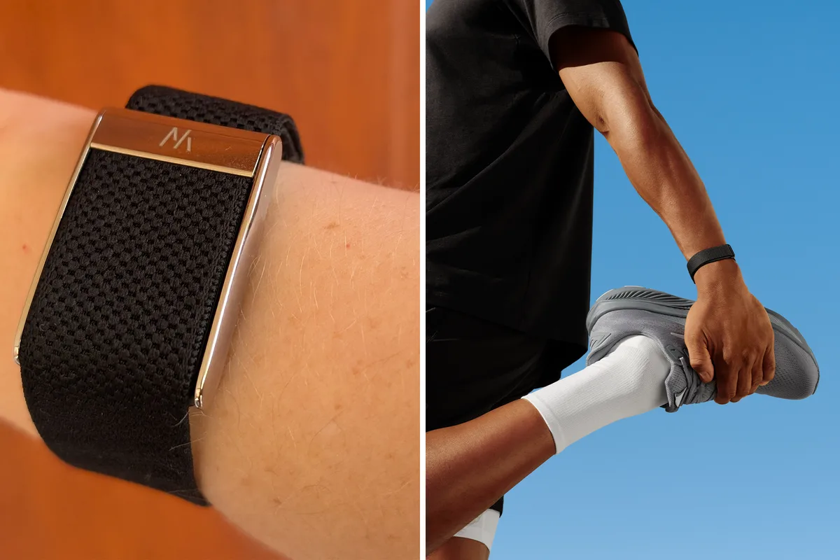 Google Introduces Fitbit Air Fitness Tracker With Status Light and Gesture Controls