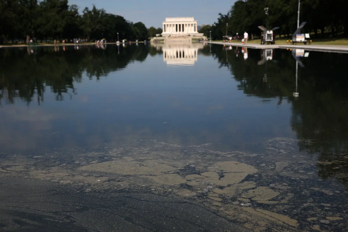 Lincoln Memorial Reflecting Pool Turns Green After Removal of Nanobubbler Machines