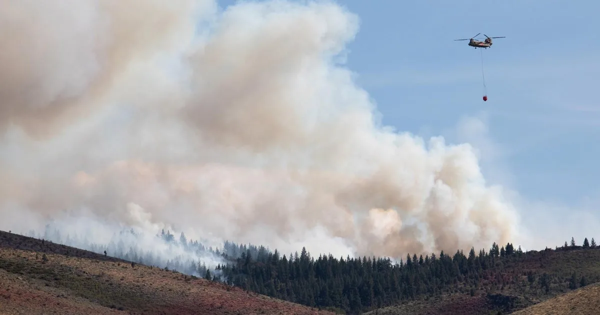 Hawk Fire Near Reno Forces Mass Evacuations as Firefighters Battle Uncontained Blaze