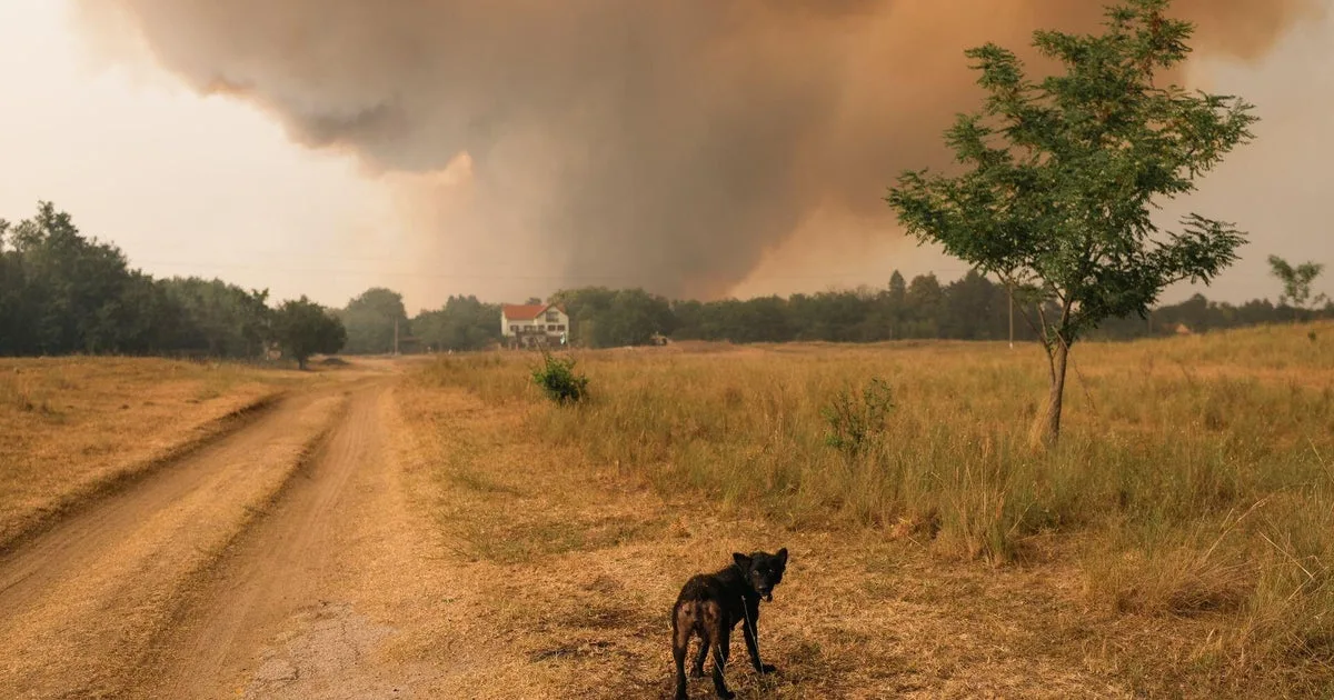 Heat Wave Triggers Wildfires, Drought, and Energy Strains Across Europe