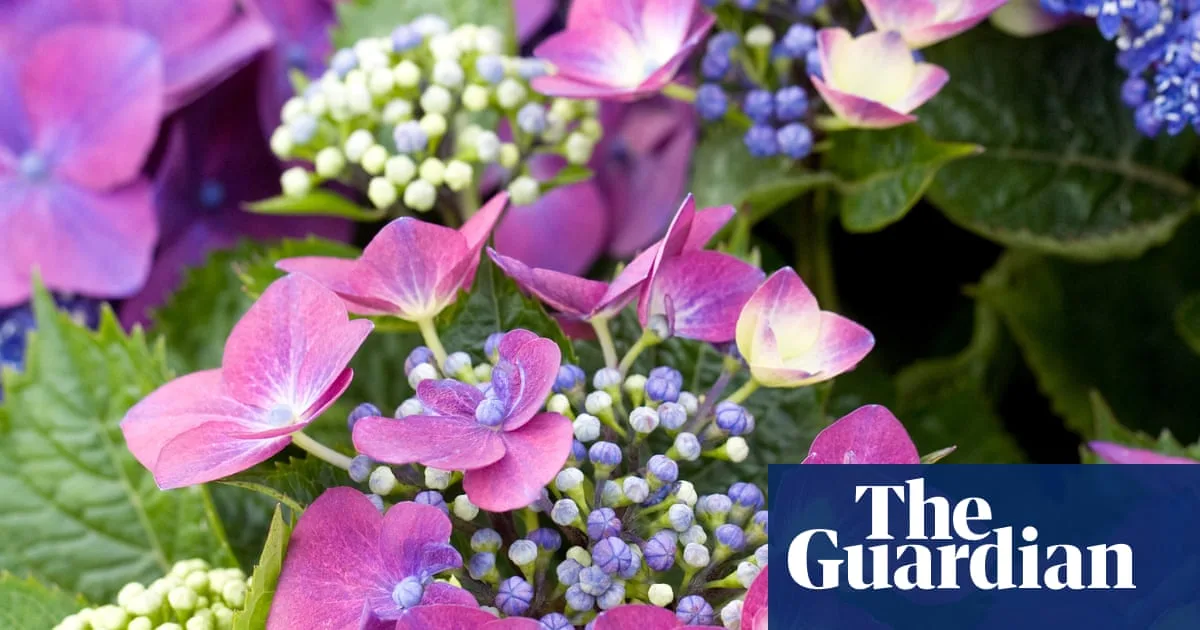 Heatwaves and Drought Impact Plants and Water Supplies Across England