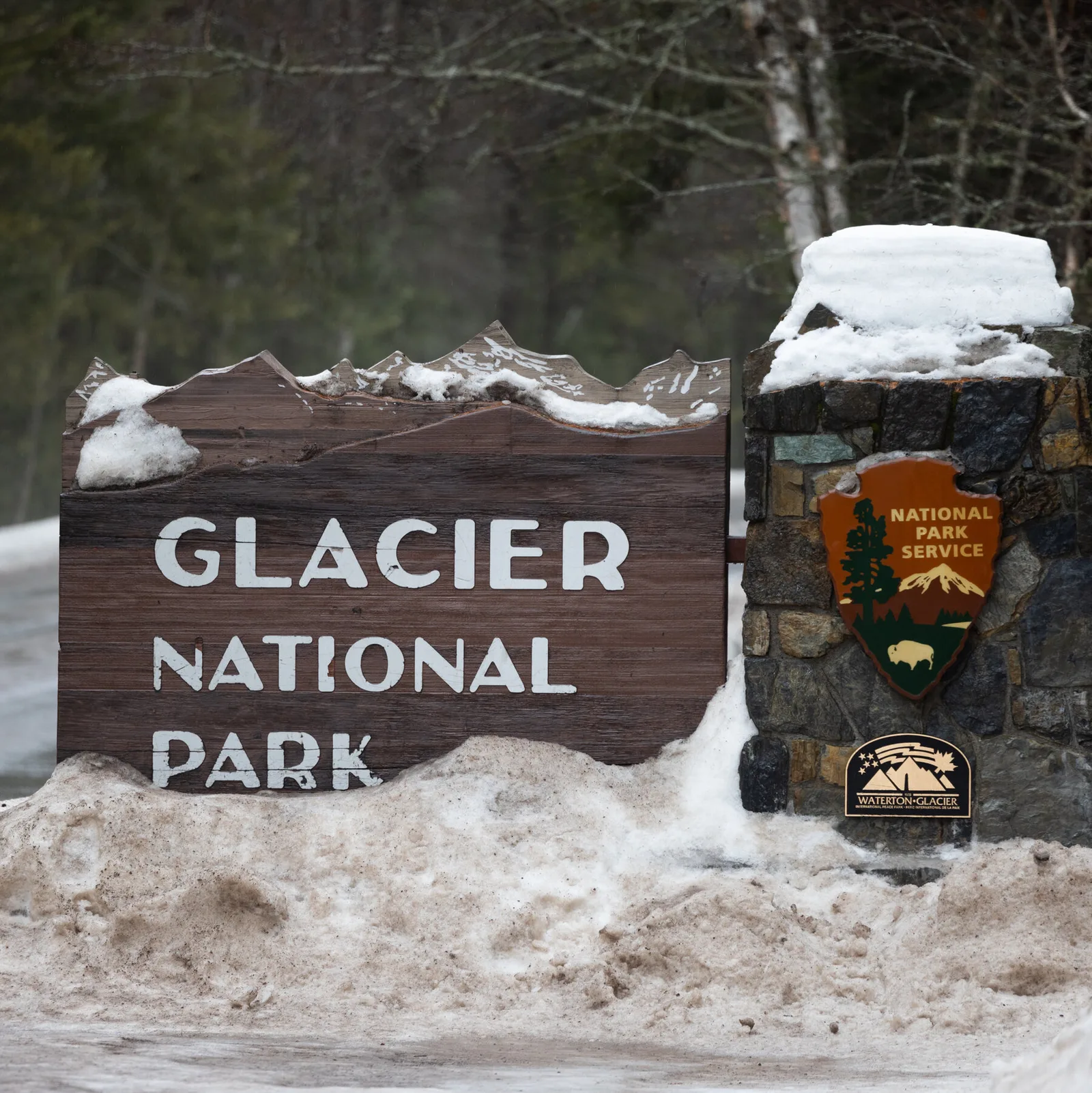 Hiker Found Dead After Suspected Bear Attack in Glacier National Park