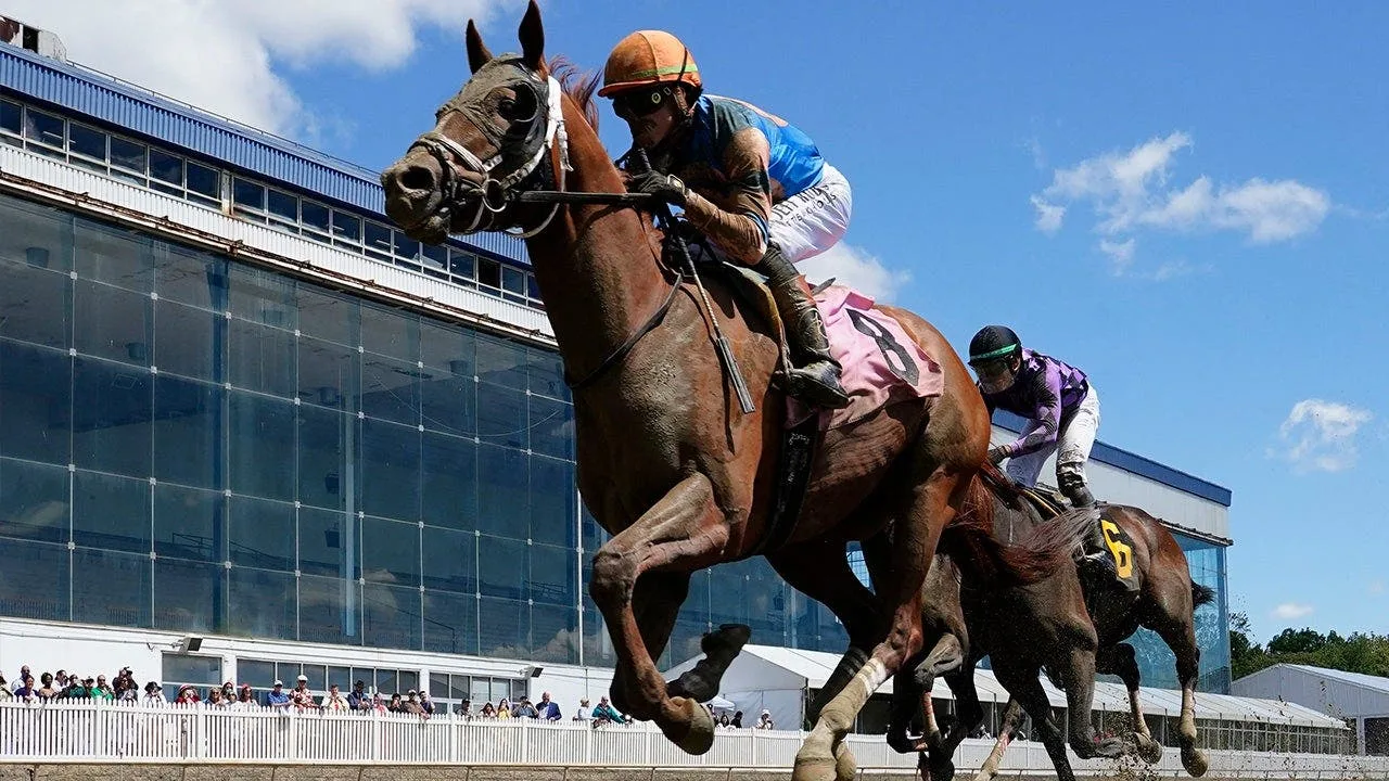 Horse Dies After First Career Race at Laurel Park Before Preakness Stakes