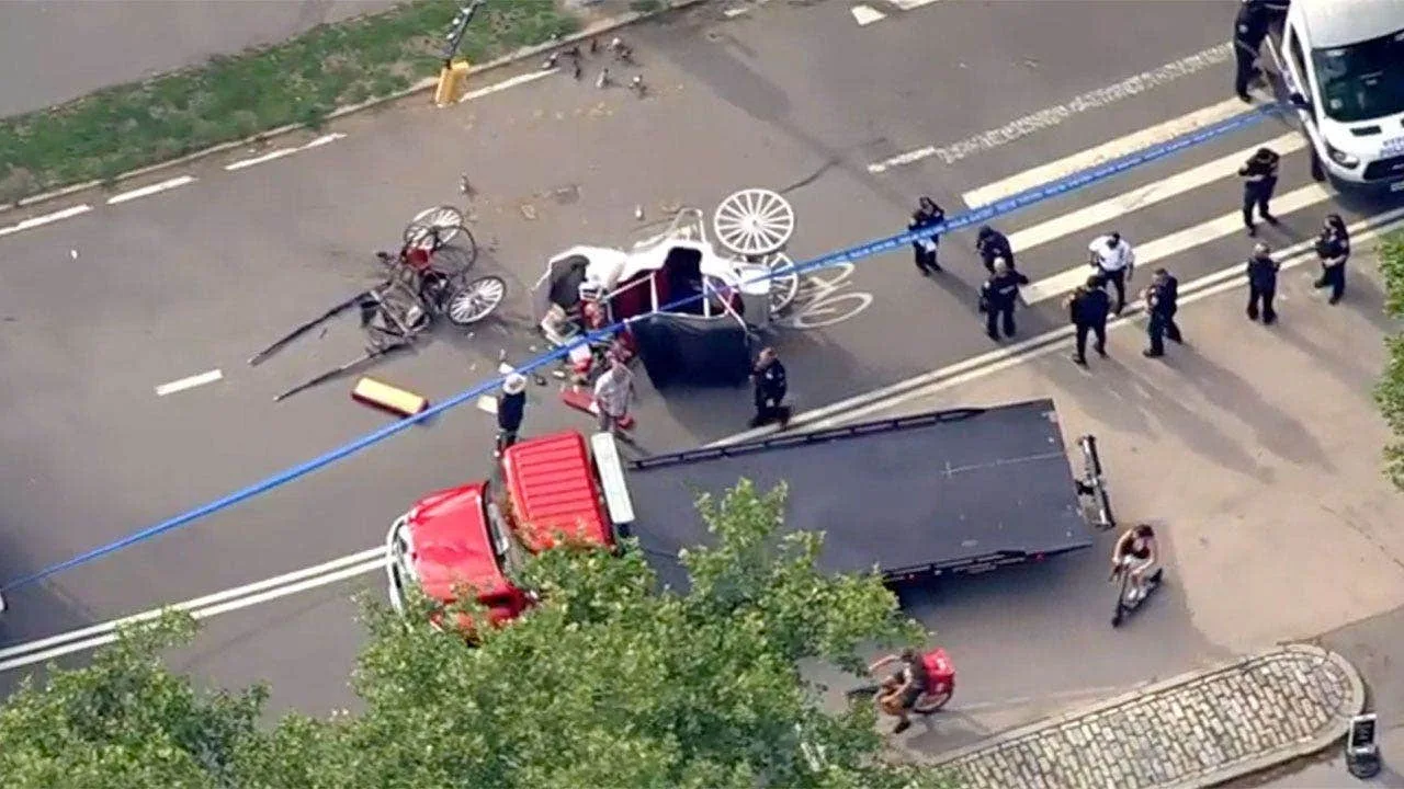 Horse-Drawn Carriage Overturns in Central Park, Killing 18-Year-Old Tourist