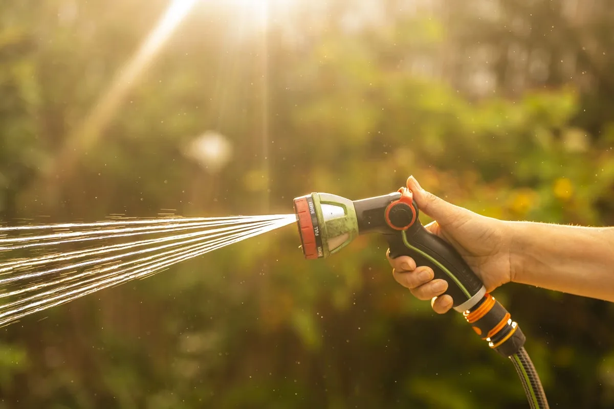 Hosepipe Ban Extended to Millions of UK Homes Amid Water Shortages