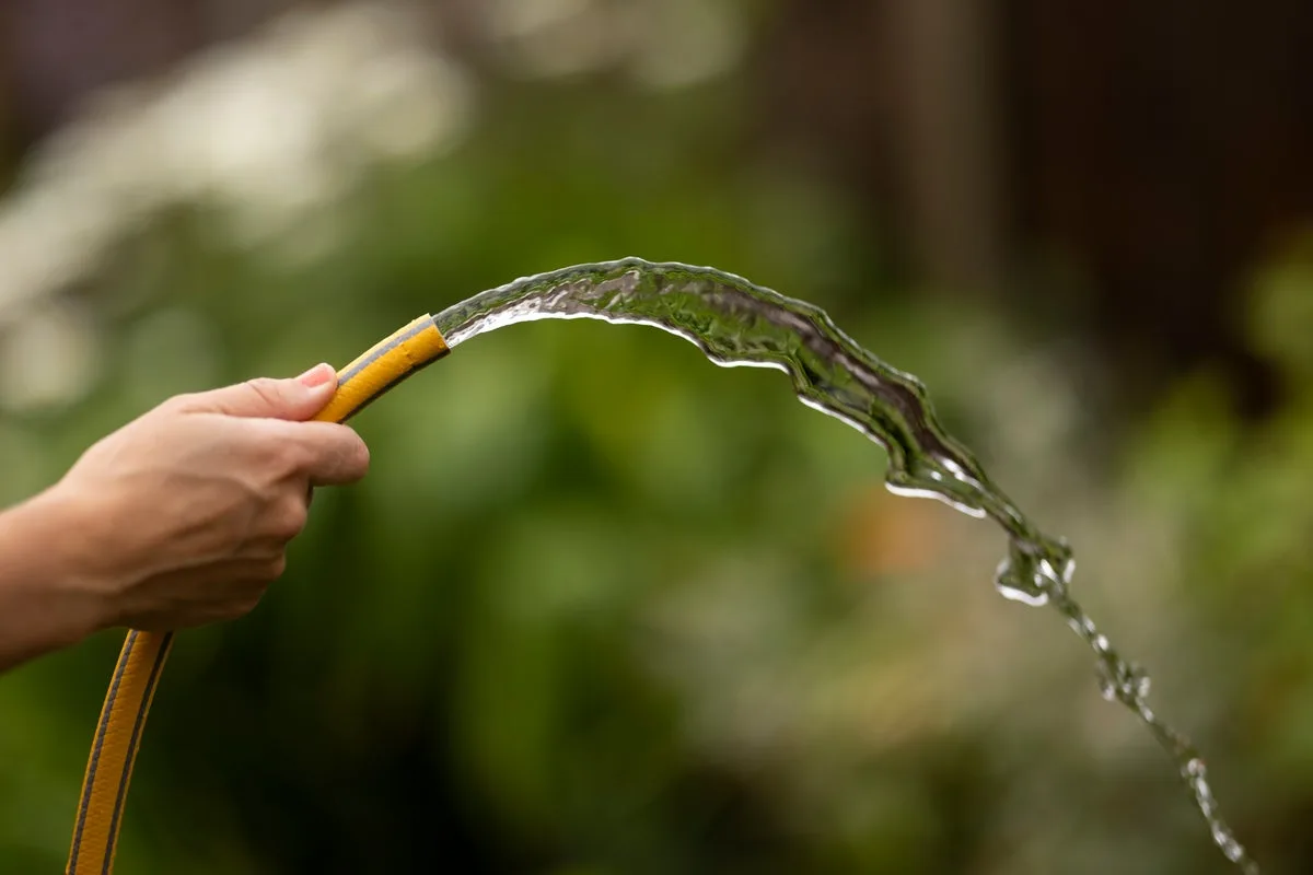 Hot, Dry Summer Leads to Widespread Drought and Water Restrictions in UK